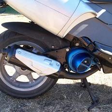 Benelli 491st // SOLGT