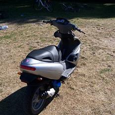 Benelli 491st // SOLGT