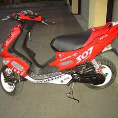 Peugeot Speedfight 2 307 WRC