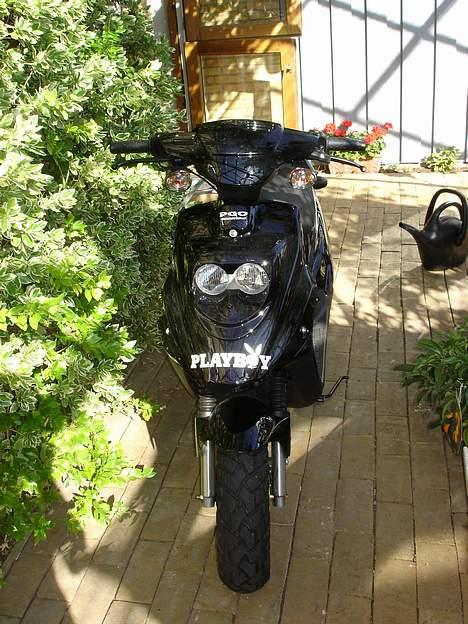 PGO hot 50 billede 1