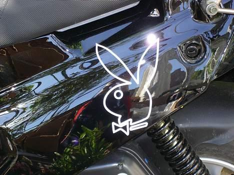 PGO hot 50 billede 3