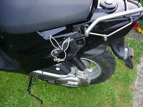 PGO hot 50 billede 6