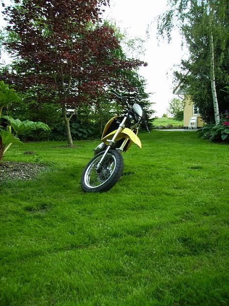 Suzuki smx solget :( for 10000 billede 12