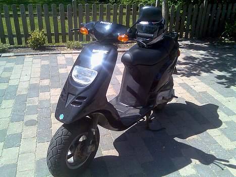 Piaggio Typhoon billede 2