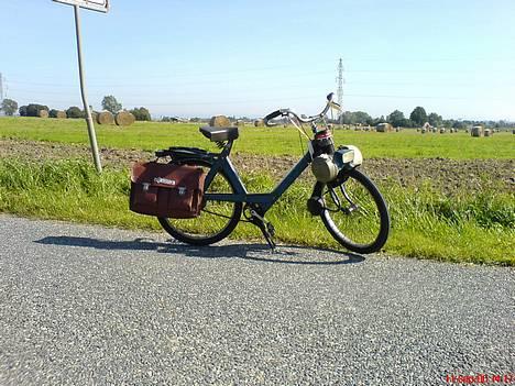 Velo Solex 3800 Delux"Veteran" - Taske er lånt fra min, Sco hamilton. Værktøj er der i den. billede 5