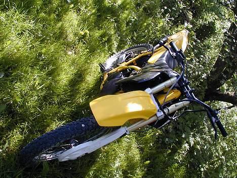 Suzuki RMX/ billede 6