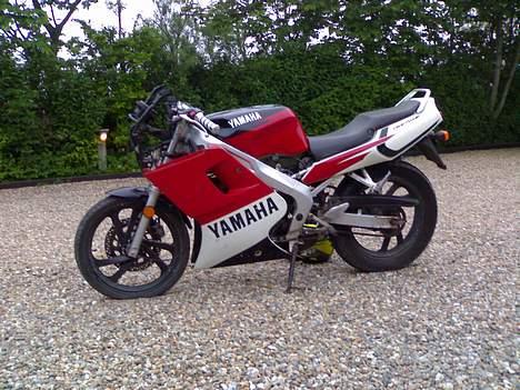 Yamaha TZR 50 (SOLGT) billede 1