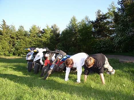 Gilera Stalker solgt - og her er så 6 styks billede 5