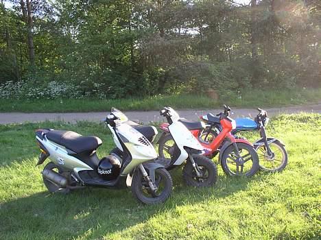 Gilera Stalker solgt - Jaa de er da flotte:P billede 7