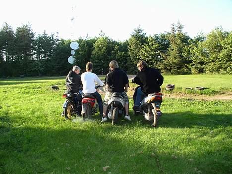 Gilera Stalker solgt - når enden er god er alting godt billede 8