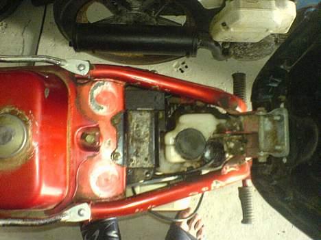 Suzuki fz50 byttet til bws billede 11