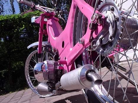 Puch maxi k (The Red Bul solgt billede 7