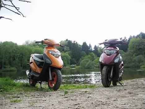 Honda SFX ----{stjålet} billede 2