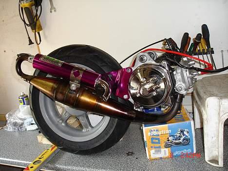 Benelli 491 st lc evo tilslag billede 11