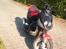 PGO PMX sport