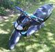Aprilia Rally (Solgt!)