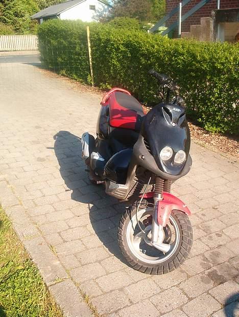 PGO PMX sport billede 1