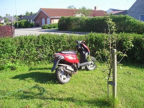 CPI Popcorn "Solgt" billede 2