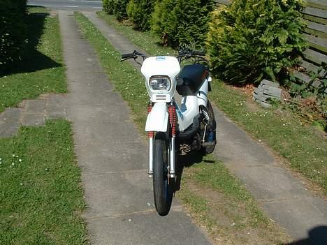 Yamaha sting  billede 7