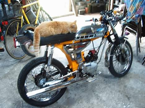 Yamaha 4 Gear DX FS1 #SOLGT billede 13