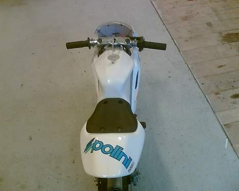 MiniBike polini 911R GP1 solgt billede 3