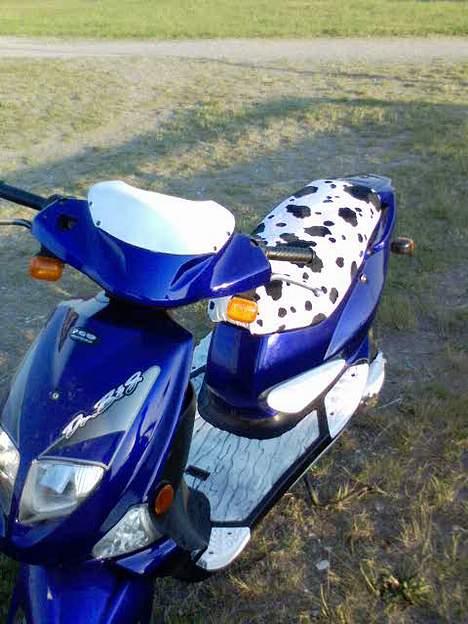 PGO dr. big solgt billede 3