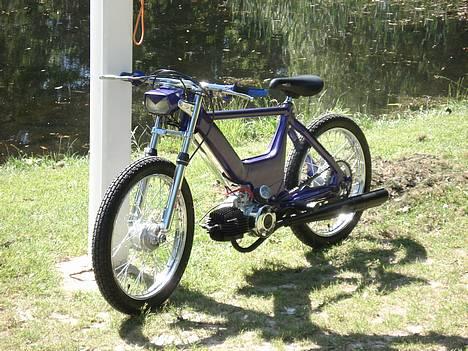 Puch Maxi **Porno**  billede 10