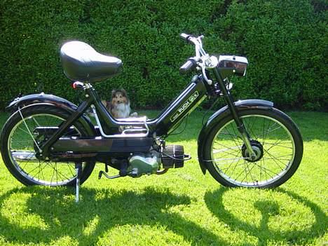 Puch Maxi K billede 5