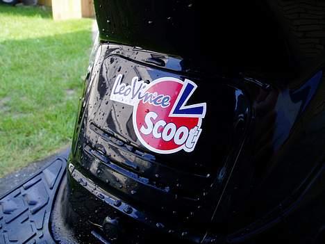 PGO Hot 50 Black Pearl - Leovnice... Nam Nam Nam... billede 8