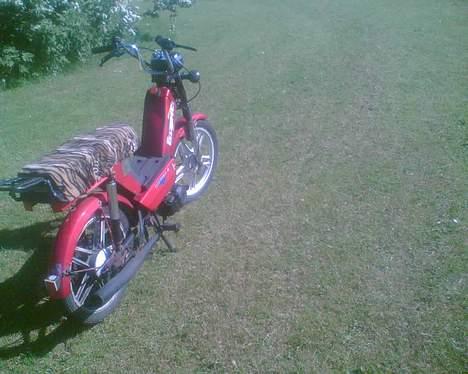 Gizmo hero billede 6