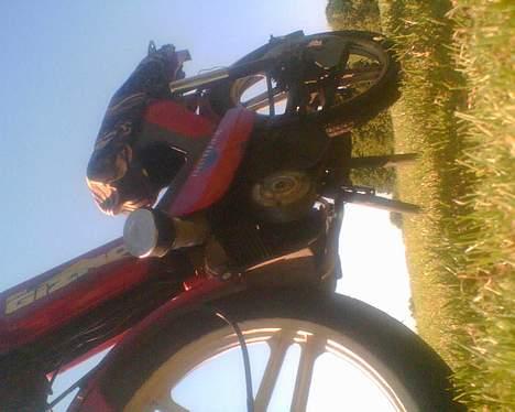 Gizmo hero billede 7