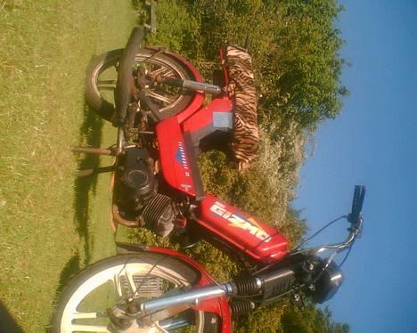 Gizmo hero billede 8