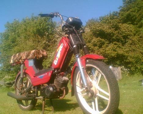 Gizmo hero billede 10