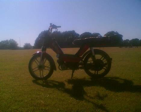 Gizmo hero billede 11