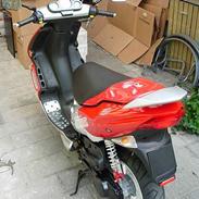 Peugeot speedfight2 rally victory