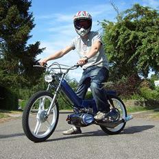 Puch Kronholm Design