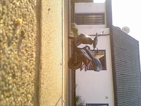 Kreidler easy raider billede 5