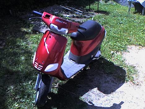 Piaggio zip *solgt* - den dejlige zip forfra billede 1