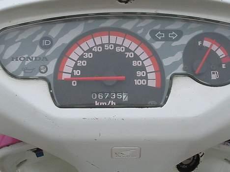 Honda sfx (byttede med magic) billede 8