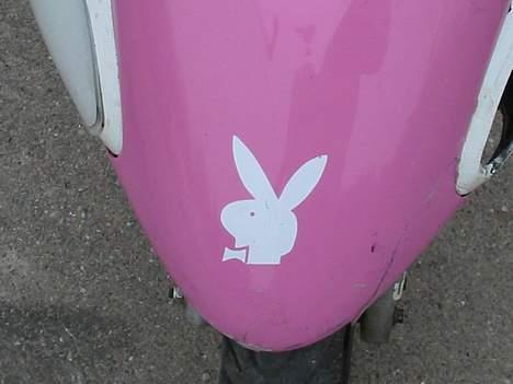 Honda sfx (byttede med magic) billede 9