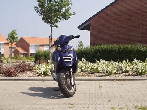 Beta Ark LC ÐÐ billede 4