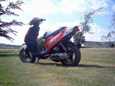 PGO Tornado - Solgt billede 1