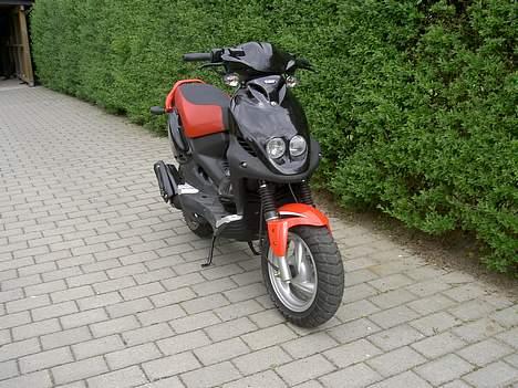 PGO PMX sport billede 1