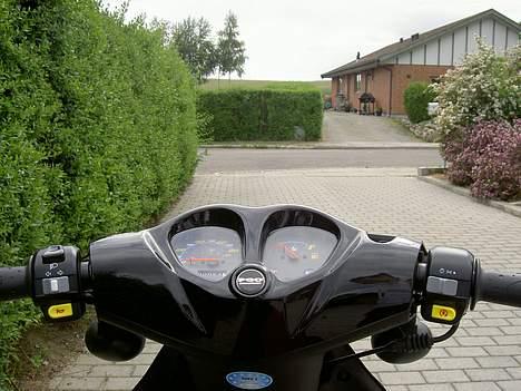 PGO PMX sport billede 7