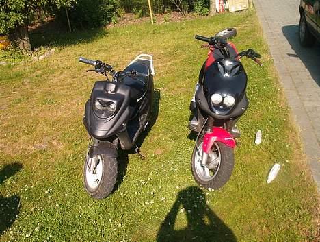 PGO PMX sport billede 6