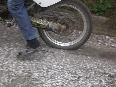 Suzuki RMX billede 11