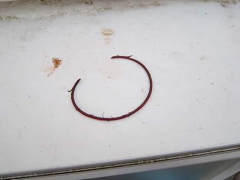 Aprilia rs 50 fundet igen - fejlen på maskinen ved køb men er rettet så nu køre den  billede 6