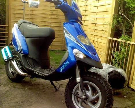 Gilera stalker billede 2