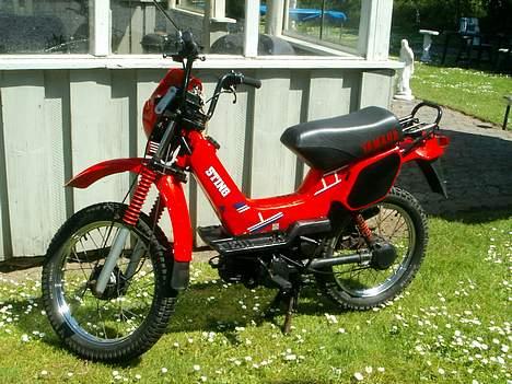 Yamaha Sting [en vens] billede 2