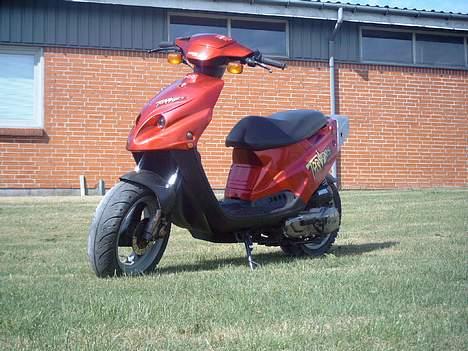 PGO Tornado - Solgt billede 2